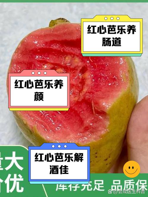 如何快速下载芭乐app?详细步骤与指南或者:为什么选择下载芭乐app?详细教程与解析