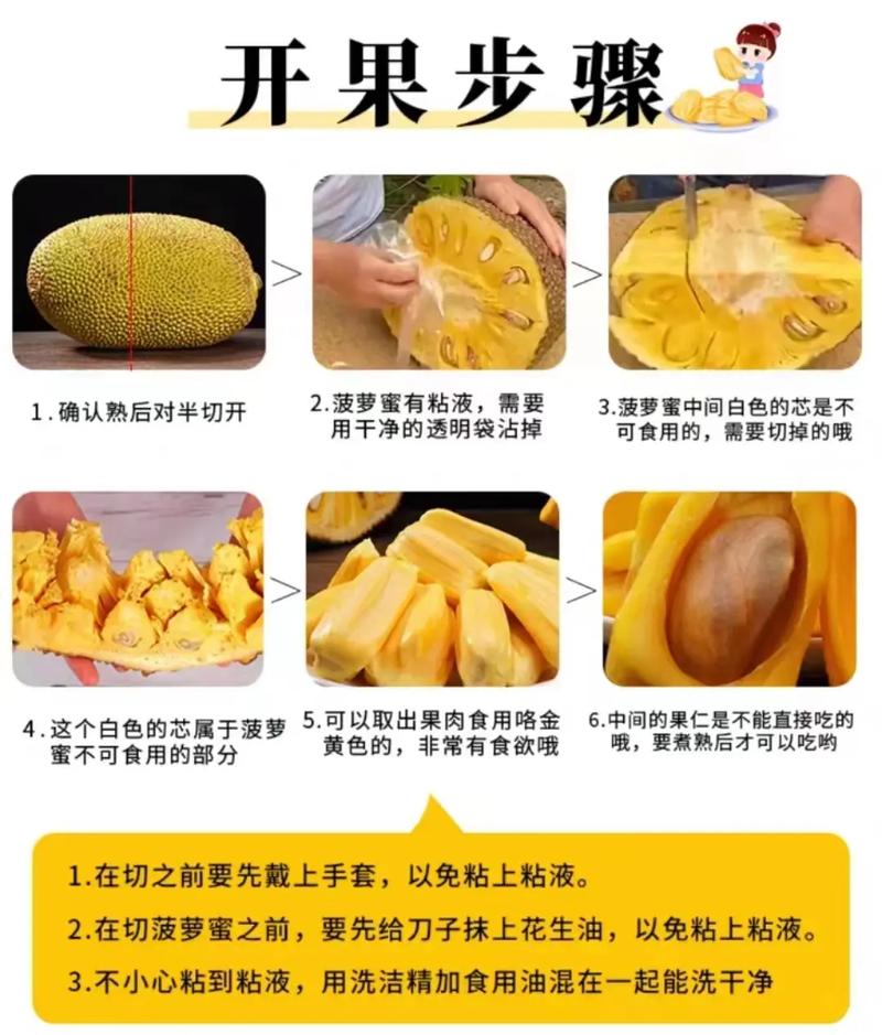 如何快速利用菠萝蜜播放视频工具观看热门短视频?